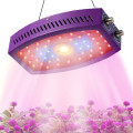 Les interrupteurs doubles à spectre complet COB K1000 ont mené des lumières de croissance 1000W interrupteur de légumes/fleurs Led élèvent la lumière hydroponique pour serre